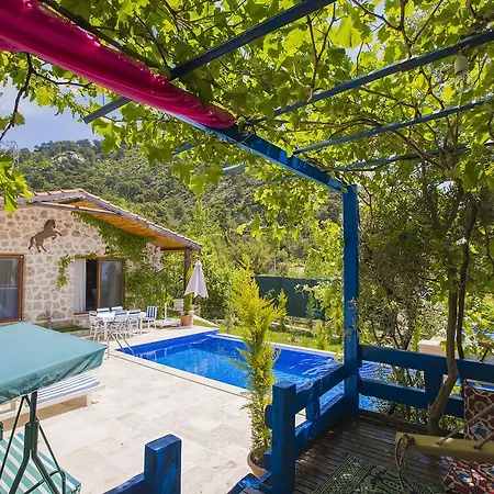 Natural Villa