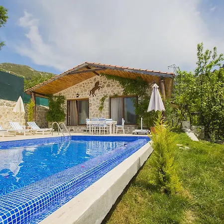 Natural Villa