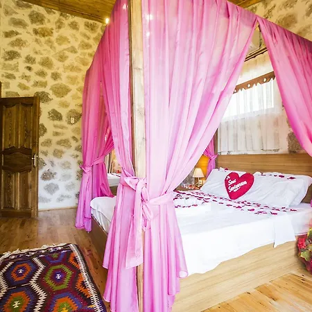 Villa Natural