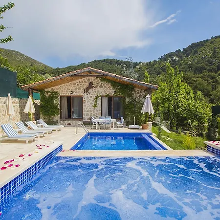 Villa Natural