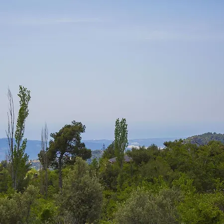 Natural Islamlar (Mediterranean)