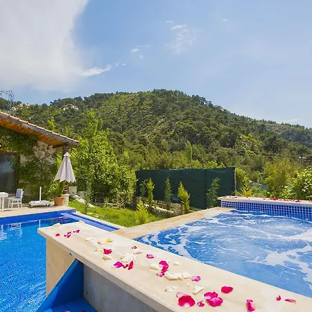 Natural Villa *