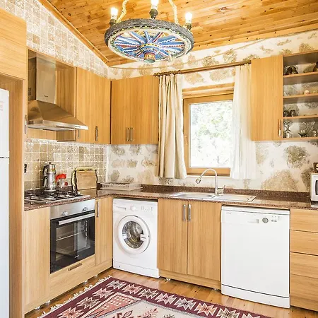 Natural Villa