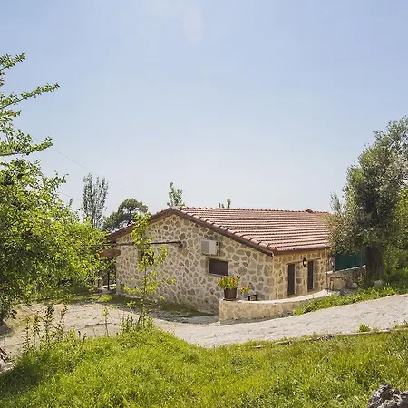 Natural Villa *